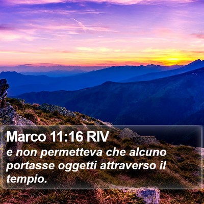 Marco 11:16 RIV Bible Verse Image