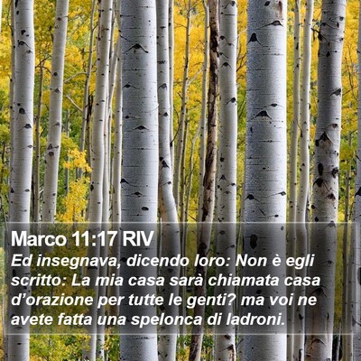 Marco 11:17 RIV Bible Verse Image