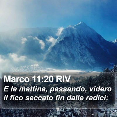 Marco 11:20 RIV Bible Verse Image