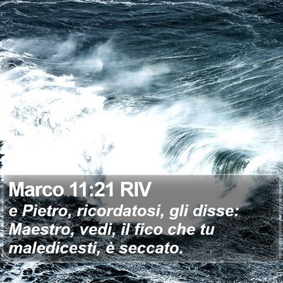 Marco 11:21 RIV Bible Verse Image