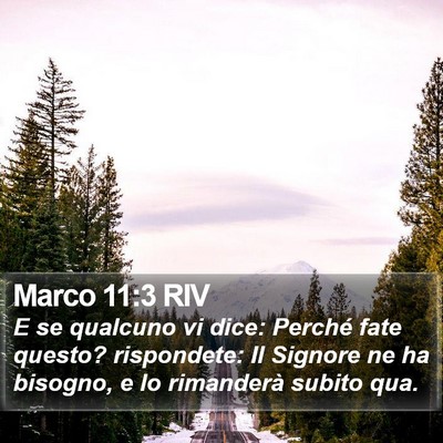 Marco 11:3 RIV Bible Verse Image