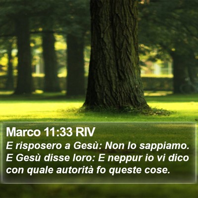 Marco 11:33 RIV Bible Verse Image