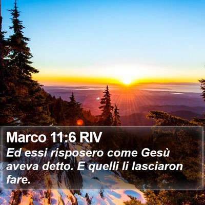 Marco 11:6 RIV Bible Verse Image