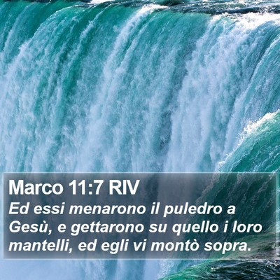 Marco 11:7 RIV Bible Verse Image