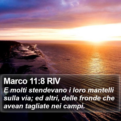 Marco 11:8 RIV Bible Verse Image