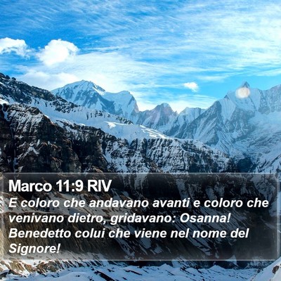 Marco 11:9 RIV Bible Verse Image