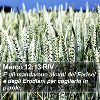 Marco 12:13 RIV Bible Verse Image