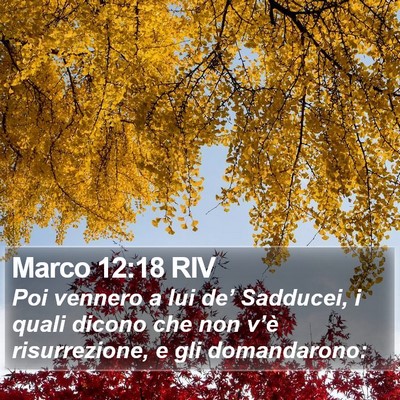 Marco 12:18 RIV Bible Verse Image