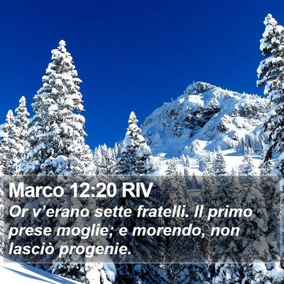 Marco 12:20 RIV Bible Verse Image