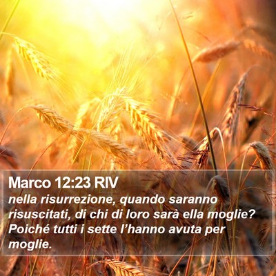 Marco 12:23 RIV Bible Verse Image
