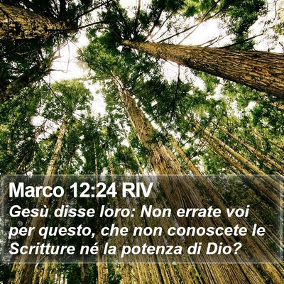 Marco 12:24 RIV Bible Verse Image