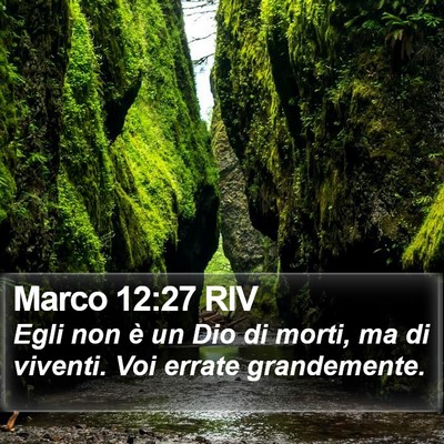 Marco 12:27 RIV Bible Verse Image