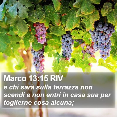 Marco 13:15 RIV Bible Verse Image