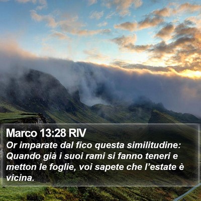 Marco 13:28 RIV Bible Verse Image