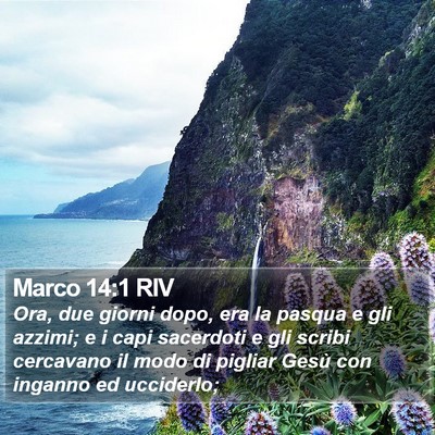 Marco 14:1 RIV Bible Verse Image