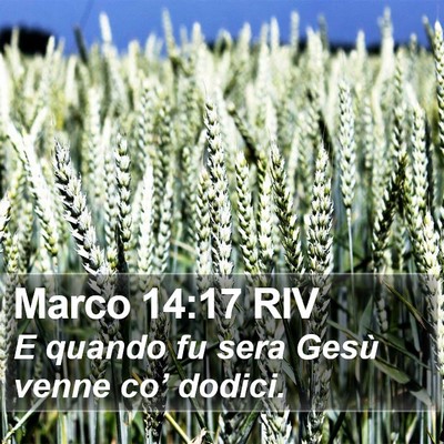 Marco 14:17 RIV Bible Verse Image