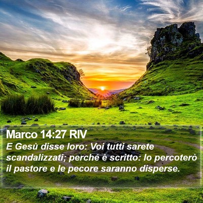 Marco 14:27 RIV Bible Verse Image