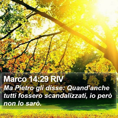 Marco 14:29 RIV Bible Verse Image