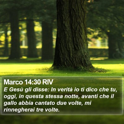 Marco 14:30 RIV Bible Verse Image