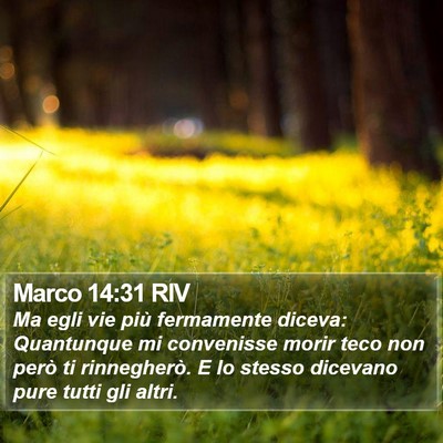 Marco 14:31 RIV Bible Verse Image