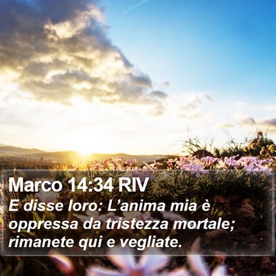 Marco 14:34 RIV Bible Verse Image