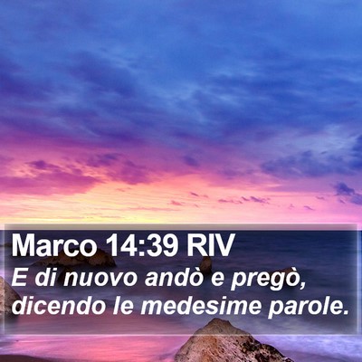 Marco 14:39 RIV Bible Verse Image