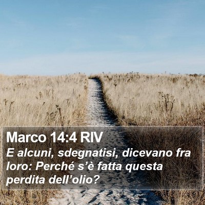Marco 14:4 RIV Bible Verse Image