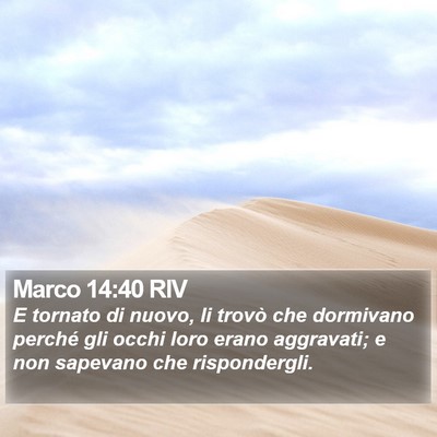 Marco 14:40 RIV Bible Verse Image