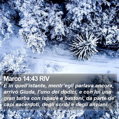 Marco 14:43 RIV Bible Verse Image