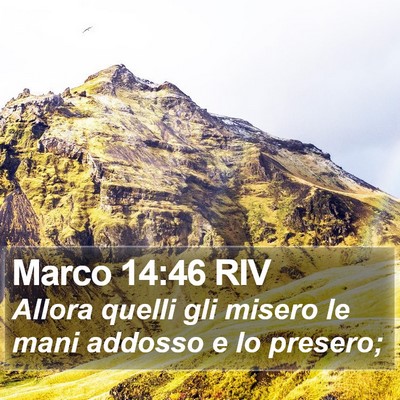 Marco 14:46 RIV Bible Verse Image
