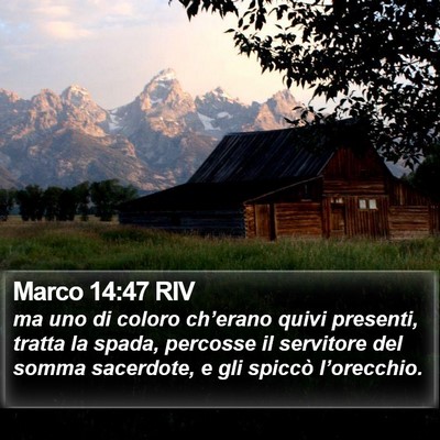 Marco 14:47 RIV Bible Verse Image