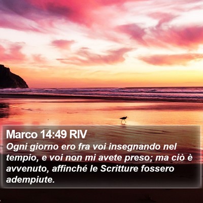 Marco 14:49 RIV Bible Verse Image