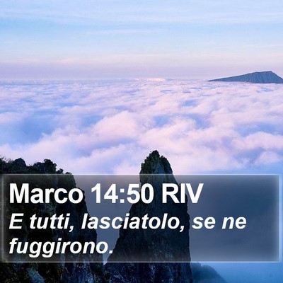Marco 14:50 RIV Bible Verse Image
