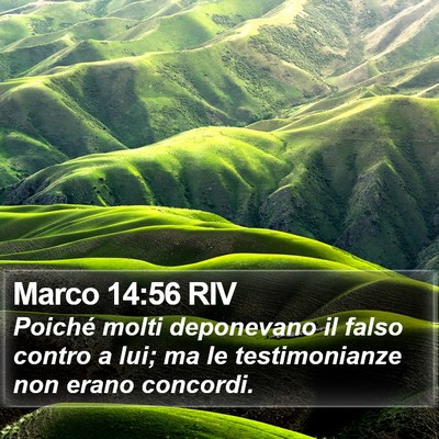 Marco 14:56 RIV Bible Verse Image