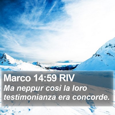 Marco 14:59 RIV Bible Verse Image