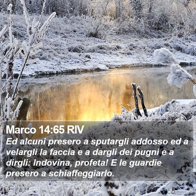 Marco 14:65 RIV Bible Verse Image
