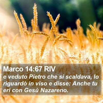 Marco 14:67 RIV Bible Verse Image
