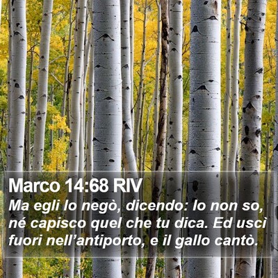 Marco 14:68 RIV Bible Verse Image