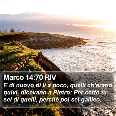 Marco 14:70 RIV Bible Verse Image