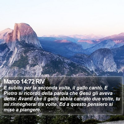 Marco 14:72 RIV Bible Verse Image