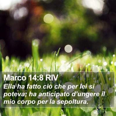 Marco 14:8 RIV Bible Verse Image