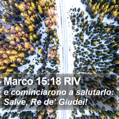 Marco 15:18 RIV Bible Verse Image