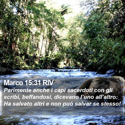 Marco 15:31 RIV Bible Verse Image