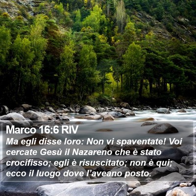 Marco 16:6 RIV Bible Verse Image