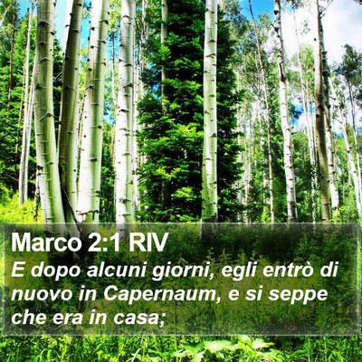 Marco 2:1 RIV Bible Verse Image