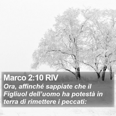 Marco 2:10 RIV Bible Verse Image