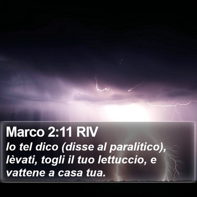 Marco 2:11 RIV Bible Verse Image