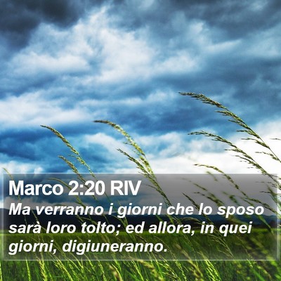 Marco 2:20 RIV Bible Verse Image