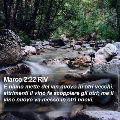 Marco 2:22 RIV Bible Verse Image