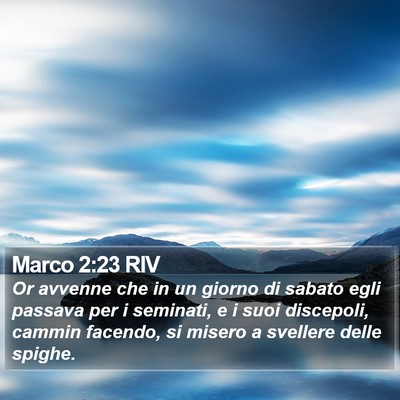 Marco 2:23 RIV Bible Verse Image